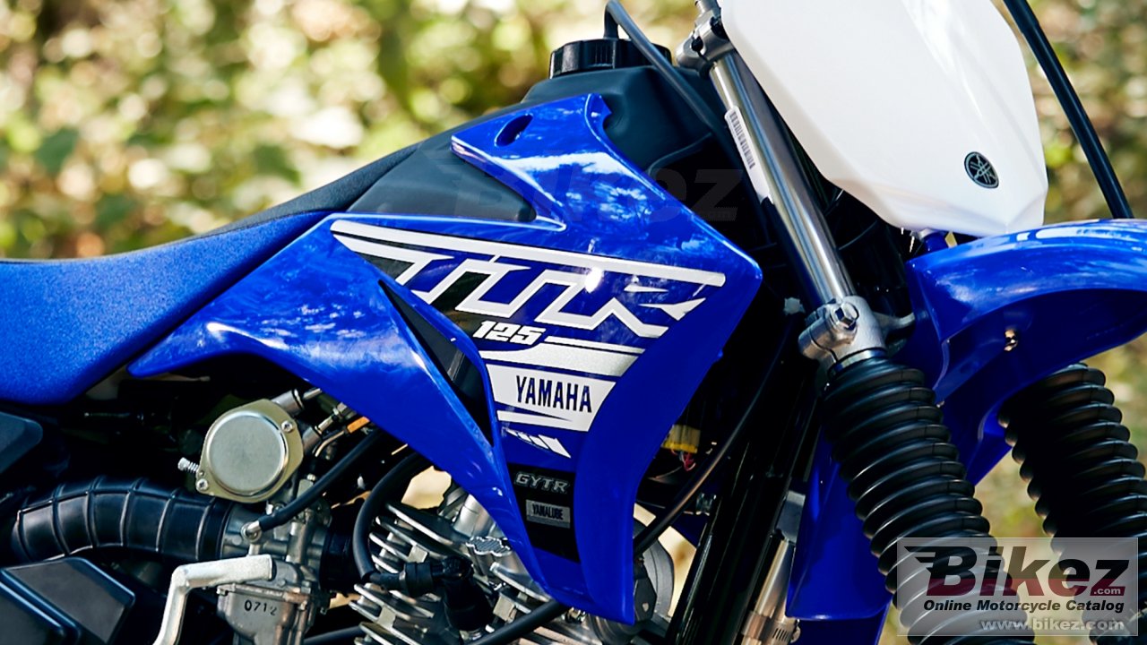 Thumbnail for Yamaha TTR110 2019