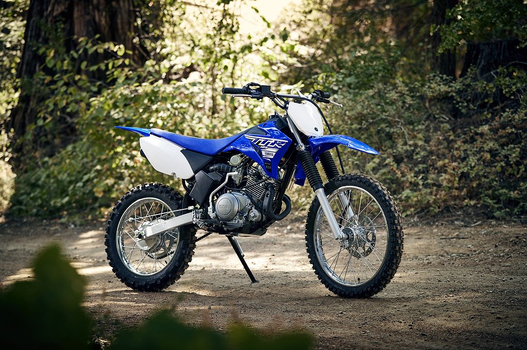 Thumbnail for Yamaha TTR125LWE 2019