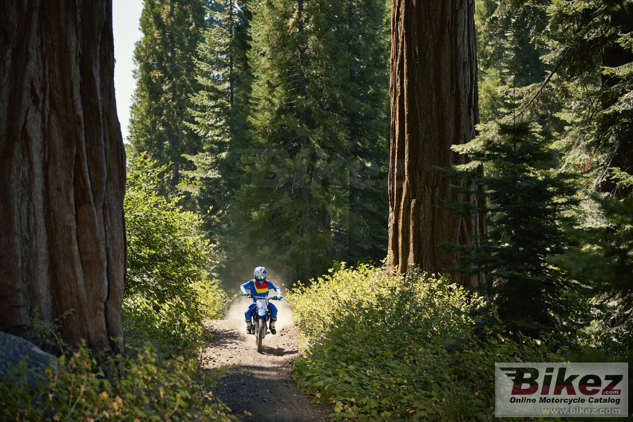 Thumbnail for Yamaha TTR125LWE 2019