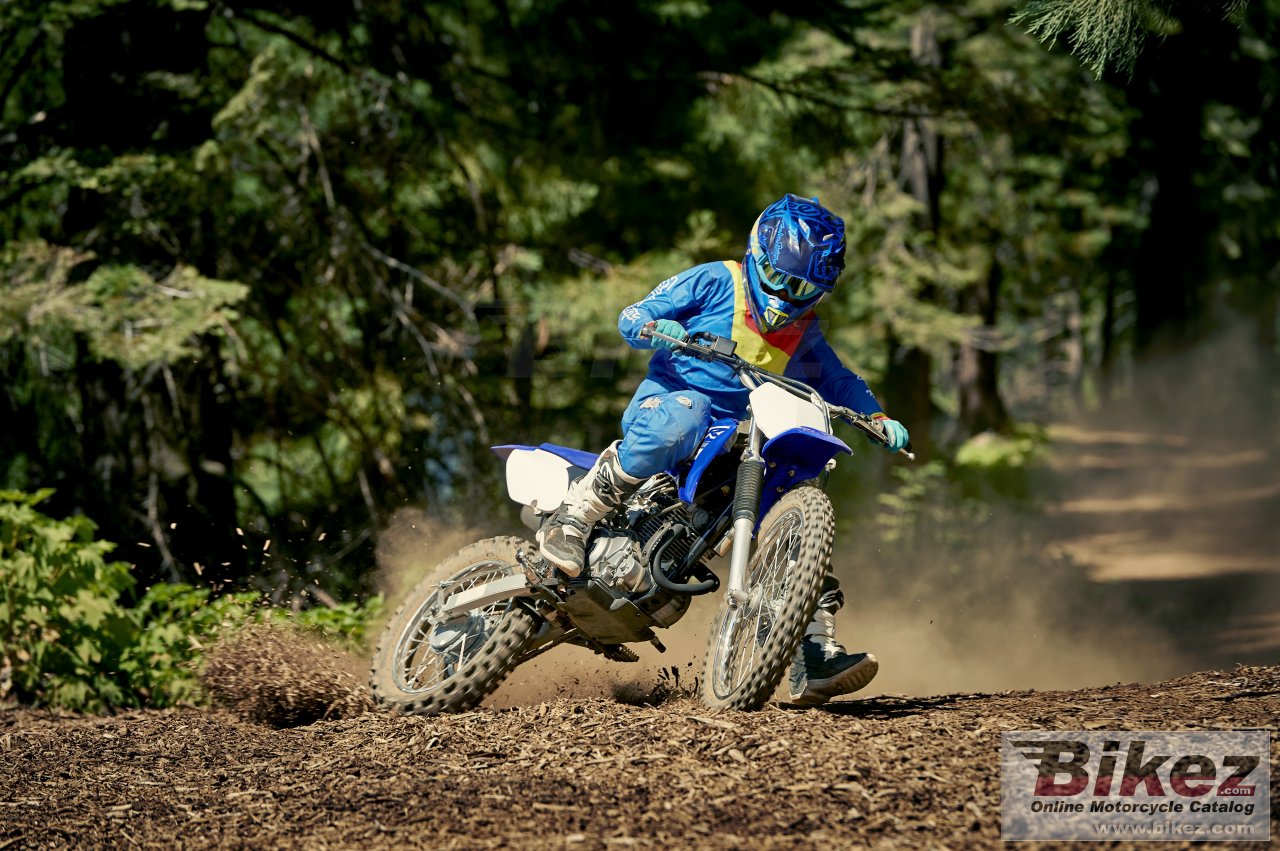 Thumbnail for Yamaha TTR125LWE 2019