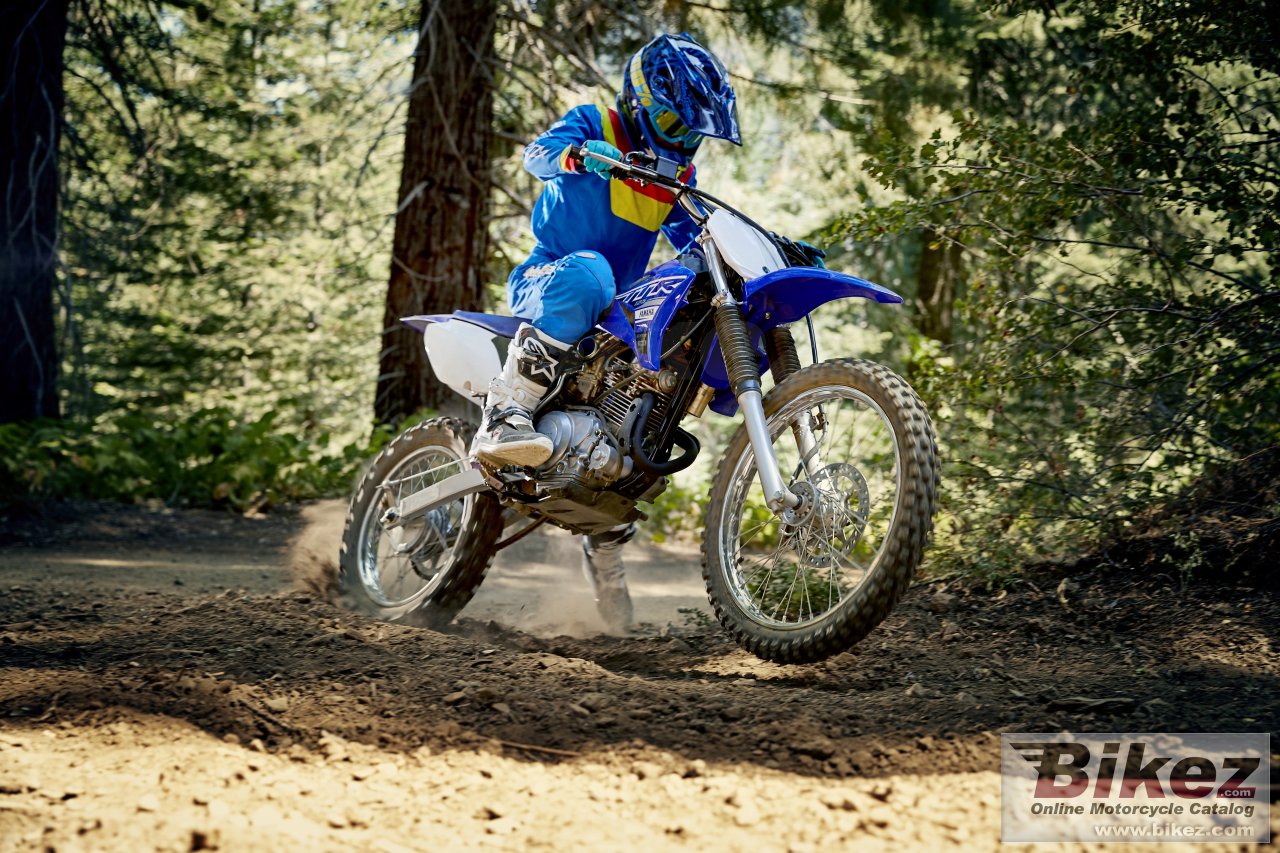 Thumbnail for Yamaha TTR125LWE 2019