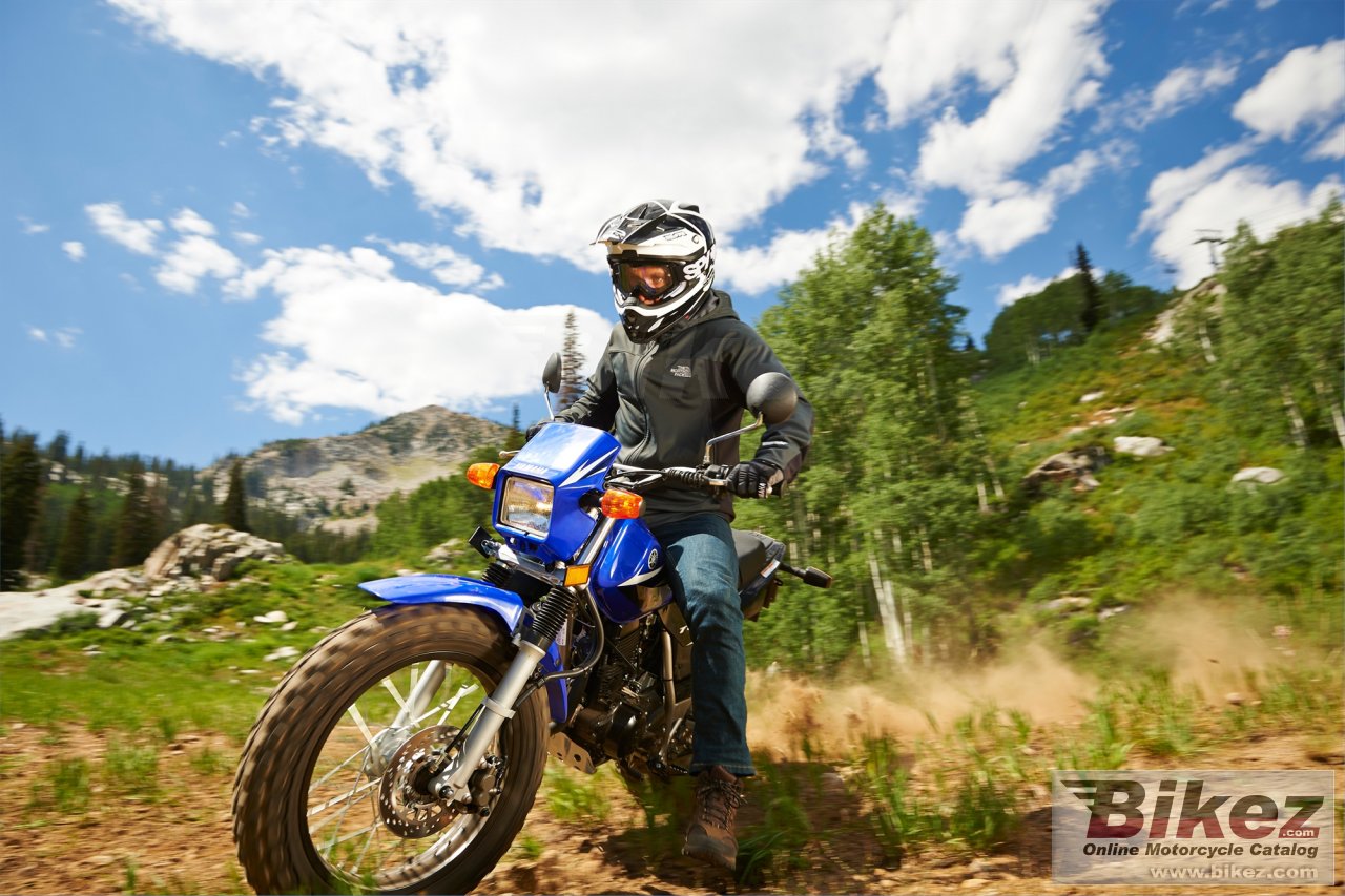 Thumbnail for Yamaha TW200 2014