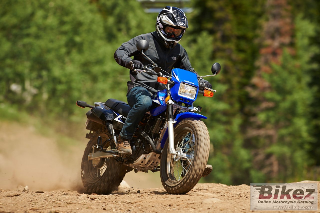 Thumbnail for Yamaha TW200 2014