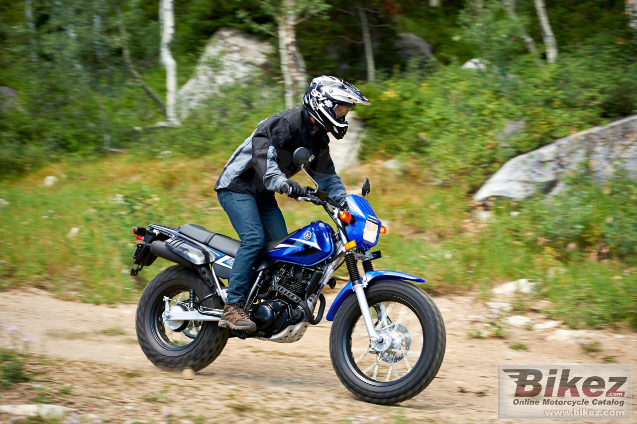 Thumbnail for Yamaha TW200 2014