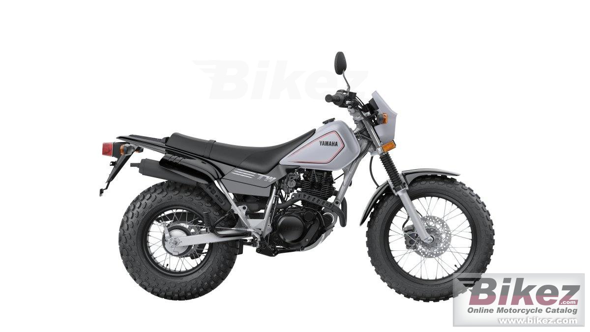 Thumbnail for Yamaha TW200 2024