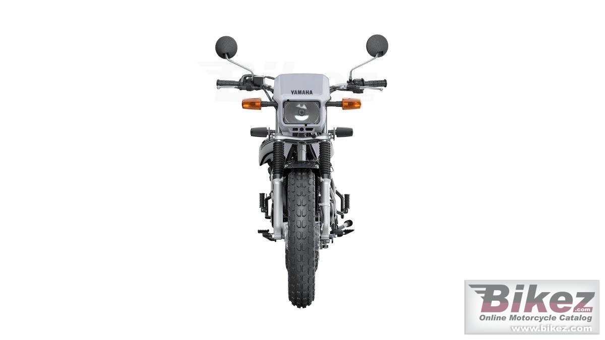 Thumbnail for Yamaha TW200 2024