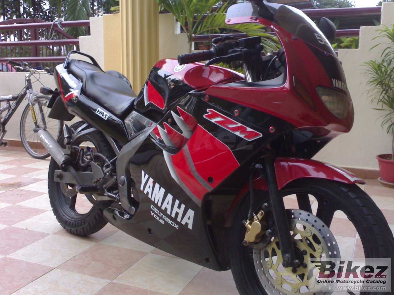Yamaha TZ 125