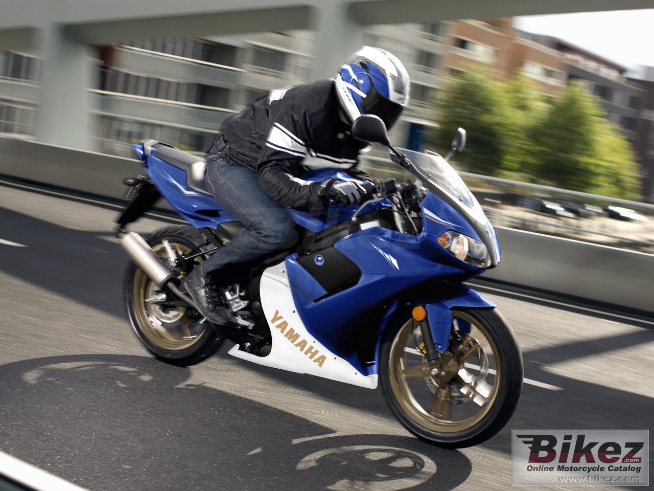 Thumbnail for Yamaha TZR50 2012