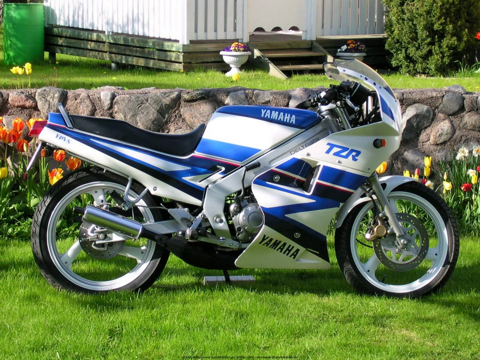 Thumbnail for Yamaha TZR 125 1991