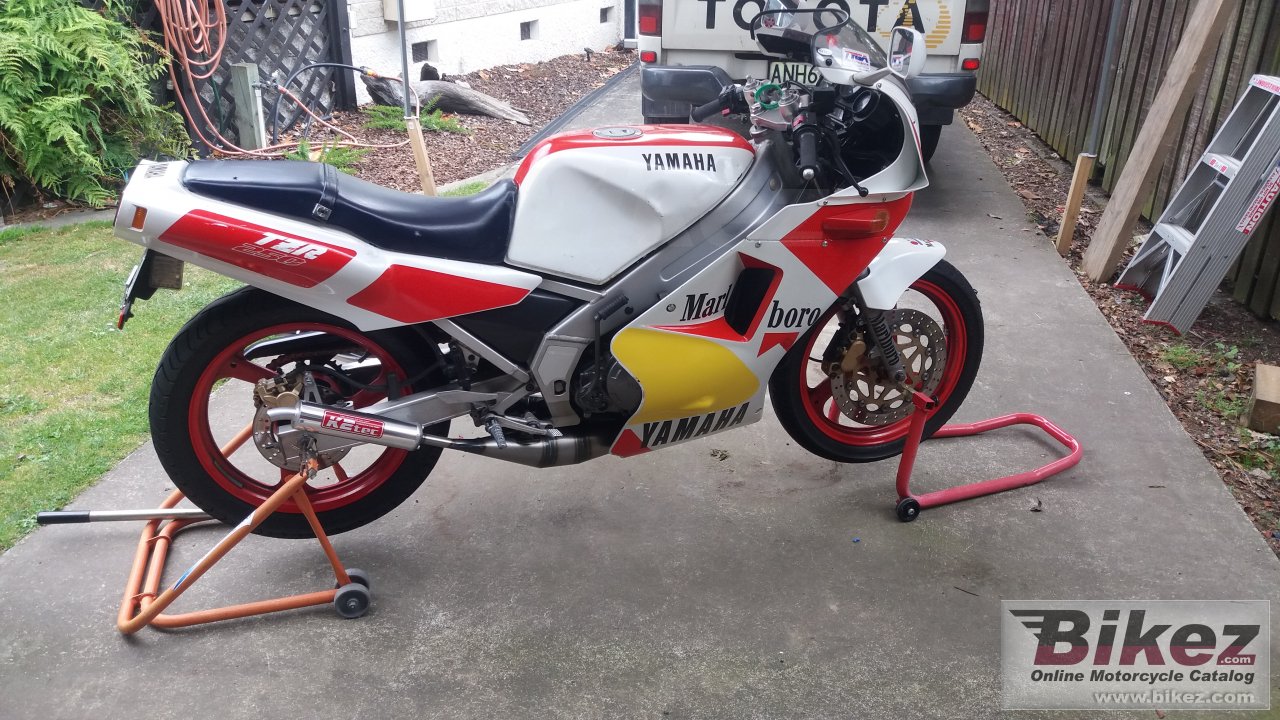 Thumbnail for Yamaha TZR 250 1988