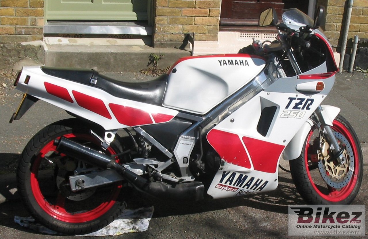 Yamaha TZR 250