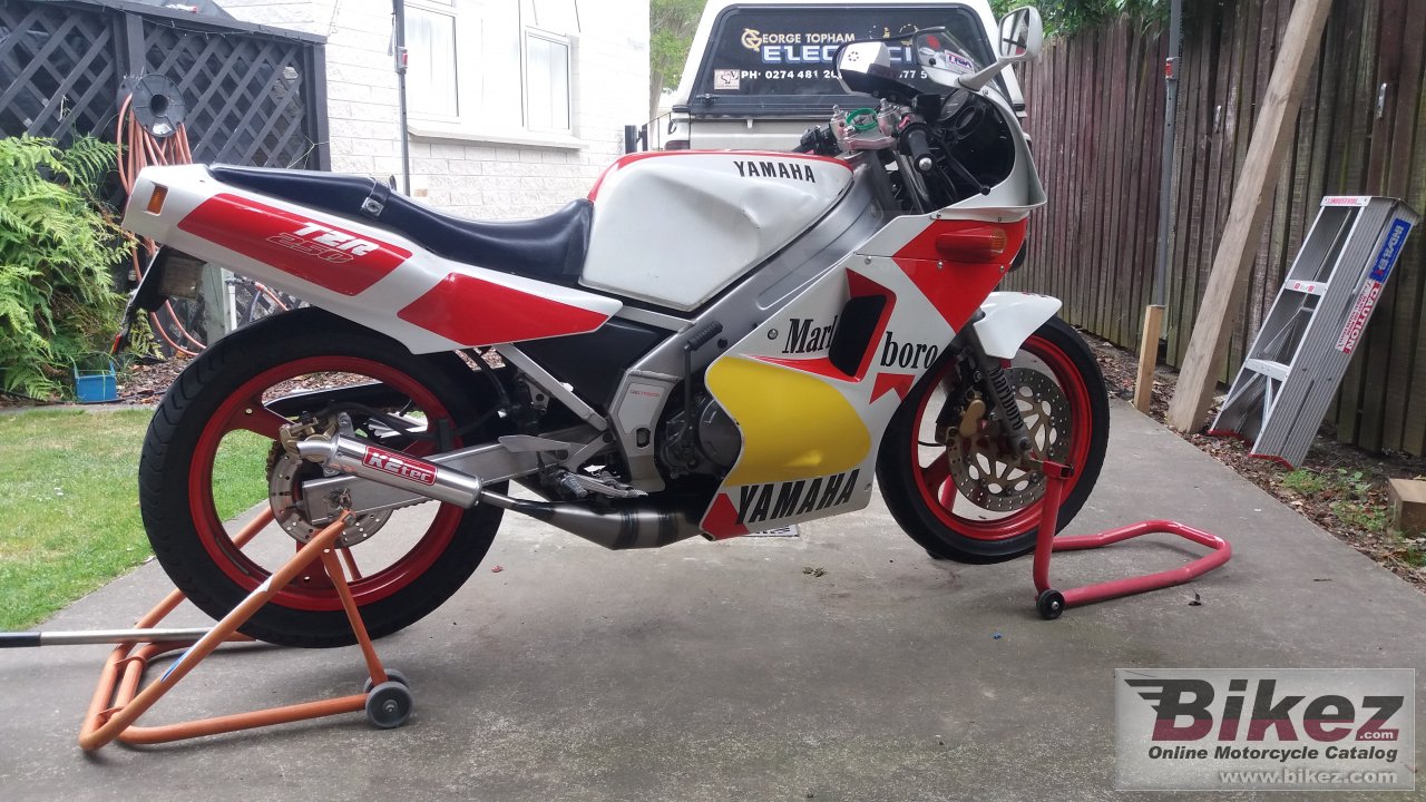 Thumbnail for Yamaha TZR 250 1988