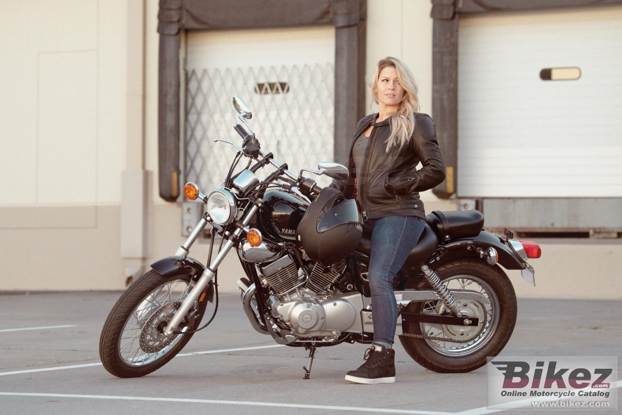 Thumbnail for Yamaha V Star 250 2023