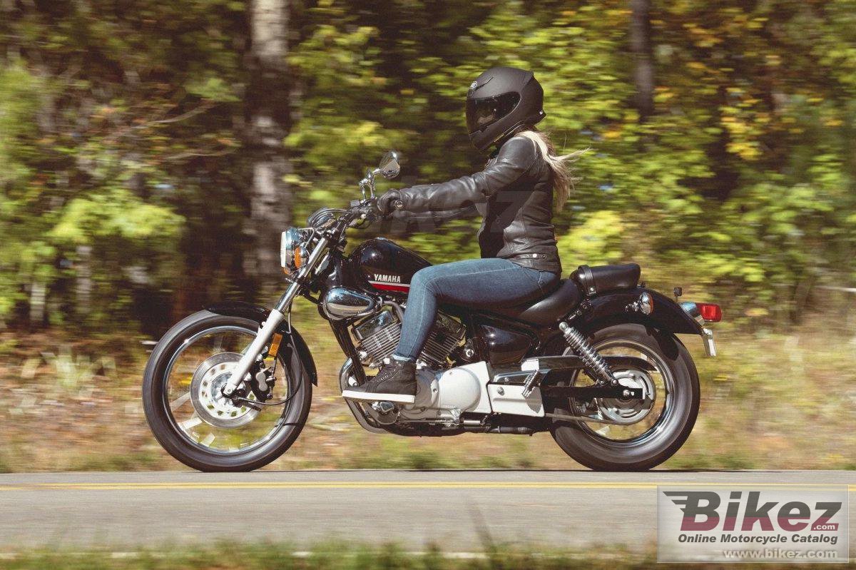 Thumbnail for Yamaha V Star 250 2024