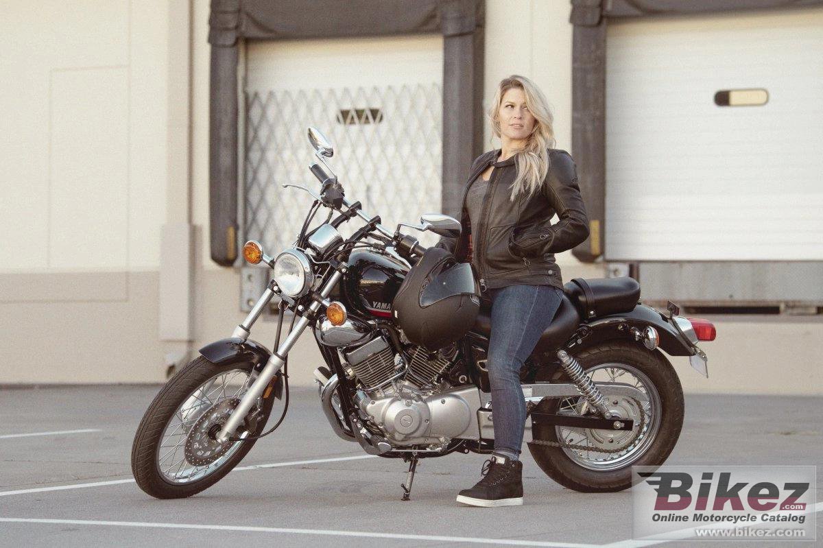 Thumbnail for Yamaha V Star 250 2024