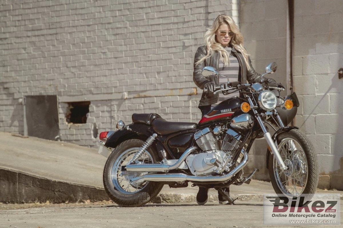 Thumbnail for Yamaha V Star 250 2024