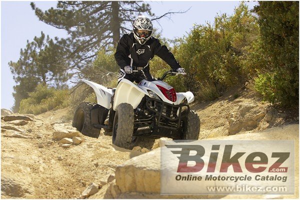 Thumbnail for Yamaha Wolverine 450 Auto. 4X4 2010