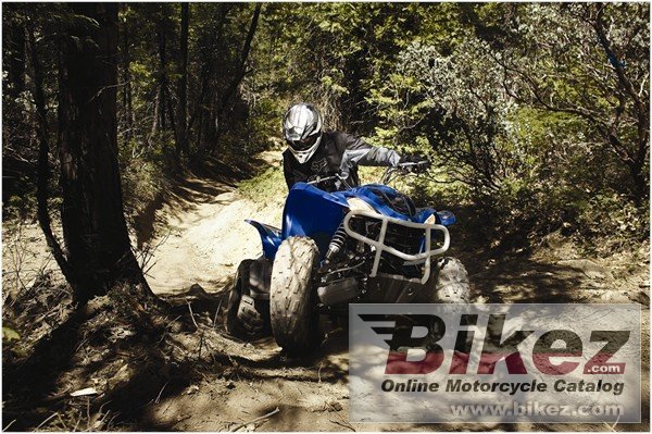 Thumbnail for Yamaha Wolverine 450 Auto 4x4 2009