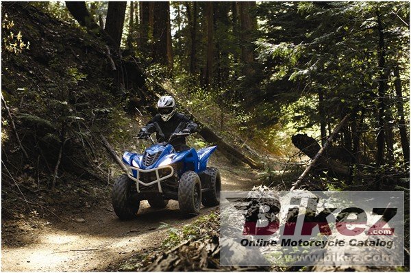 Thumbnail for Yamaha Wolverine 450 Auto 4x4 2009
