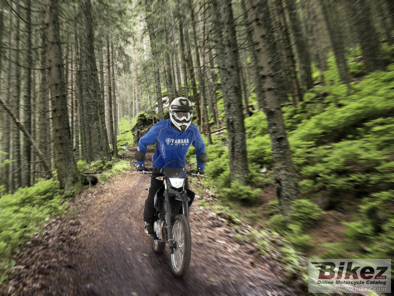 Thumbnail for Yamaha WR125R 2013