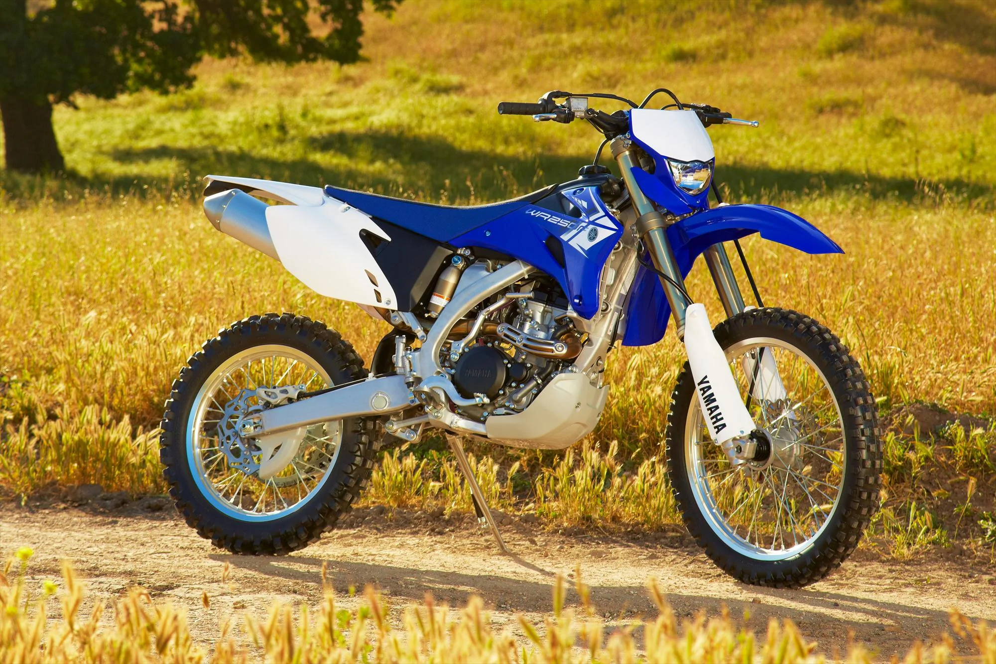 Thumbnail for Yamaha WR250F 2008