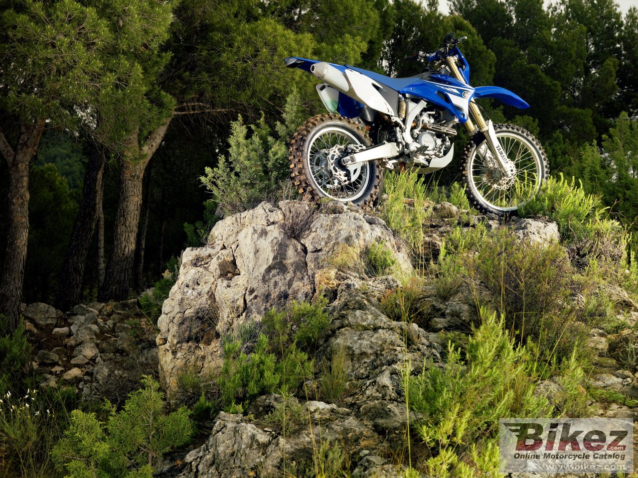 Thumbnail for Yamaha WR250F 2008