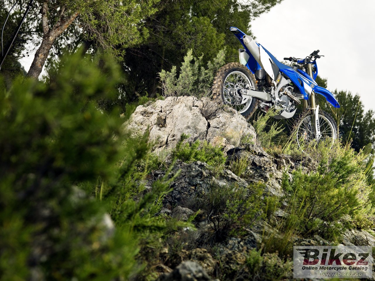 Thumbnail for Yamaha WR250F 2008