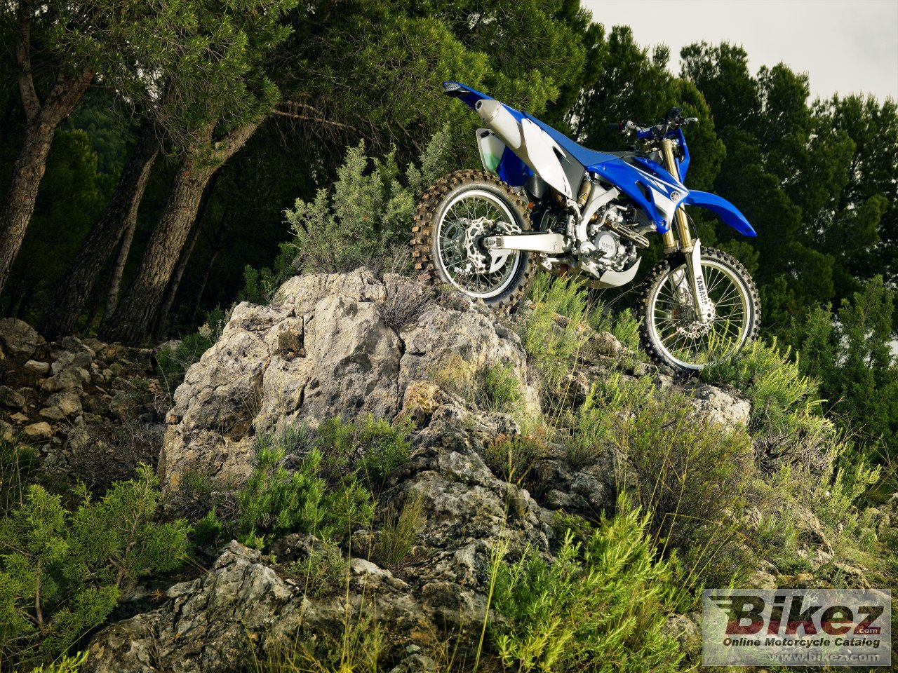 Thumbnail for Yamaha WR250F 2008