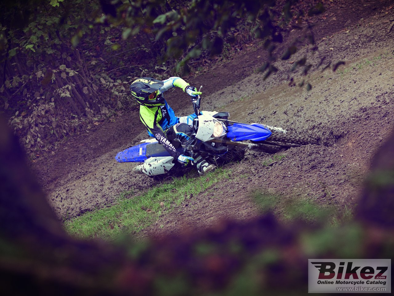 Thumbnail for Yamaha WR250F 2015