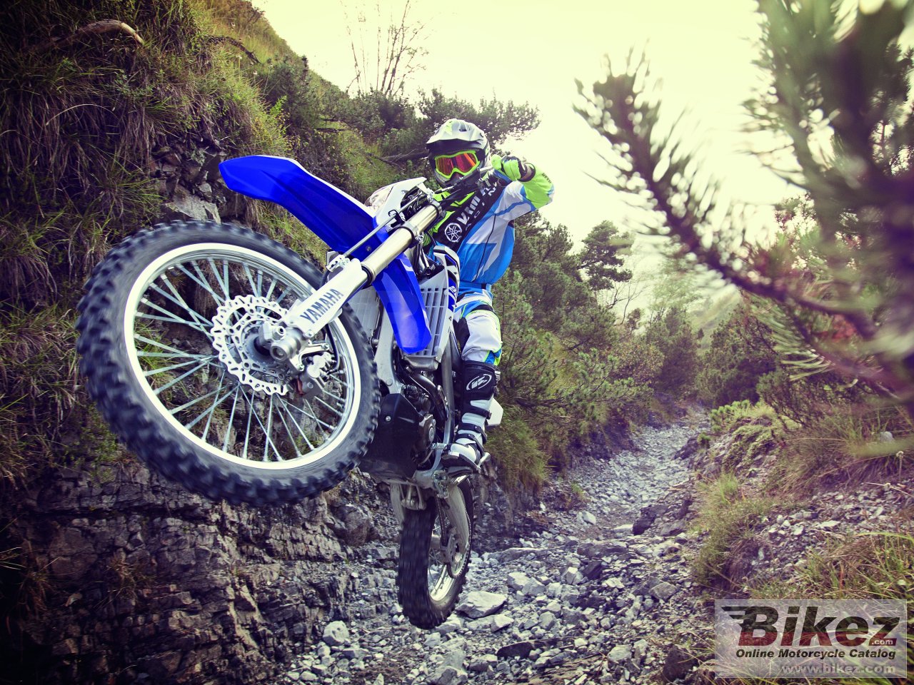 Thumbnail for Yamaha WR250F 2015
