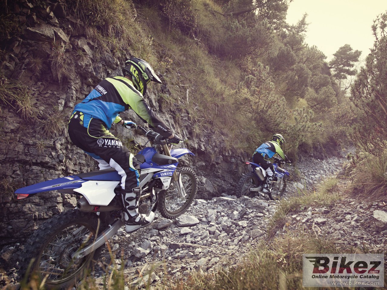 Thumbnail for Yamaha WR250F 2017