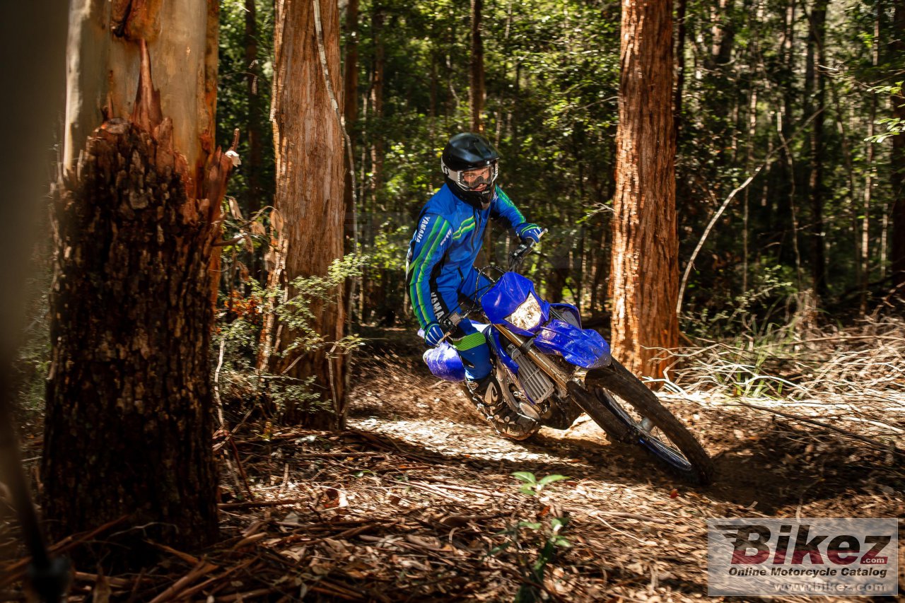 Thumbnail for Yamaha WR250F 2021