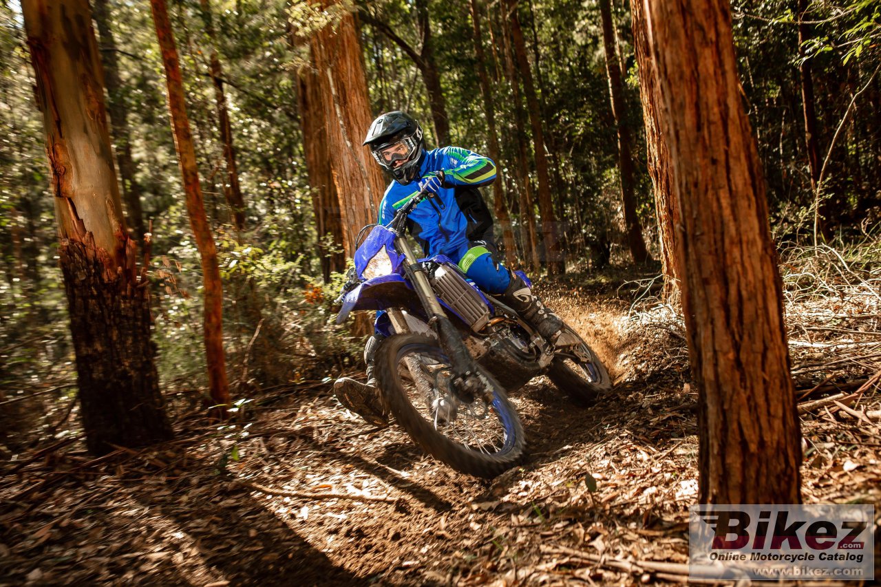 Thumbnail for Yamaha WR250F 2021