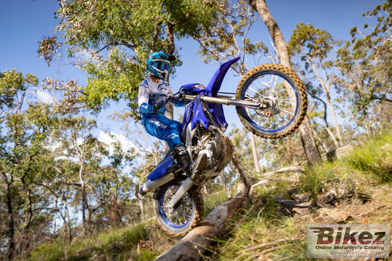 Thumbnail for Yamaha WR250F 2023