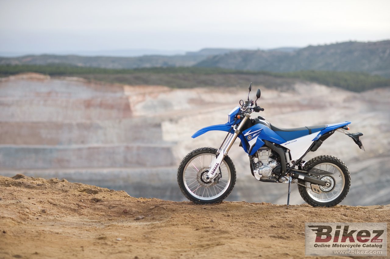 Thumbnail for Yamaha WR250R 2008