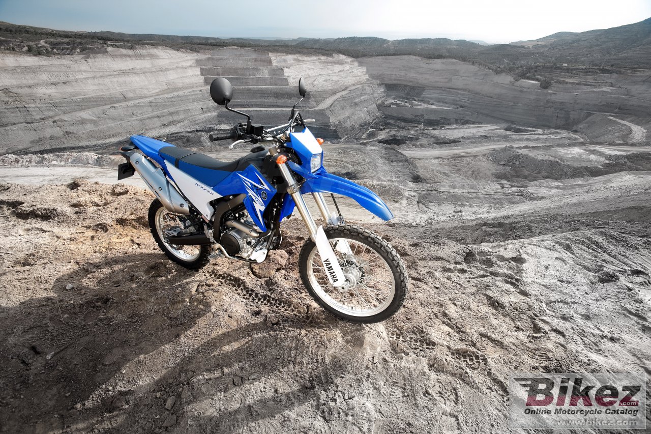 Thumbnail for Yamaha WR250R 2009