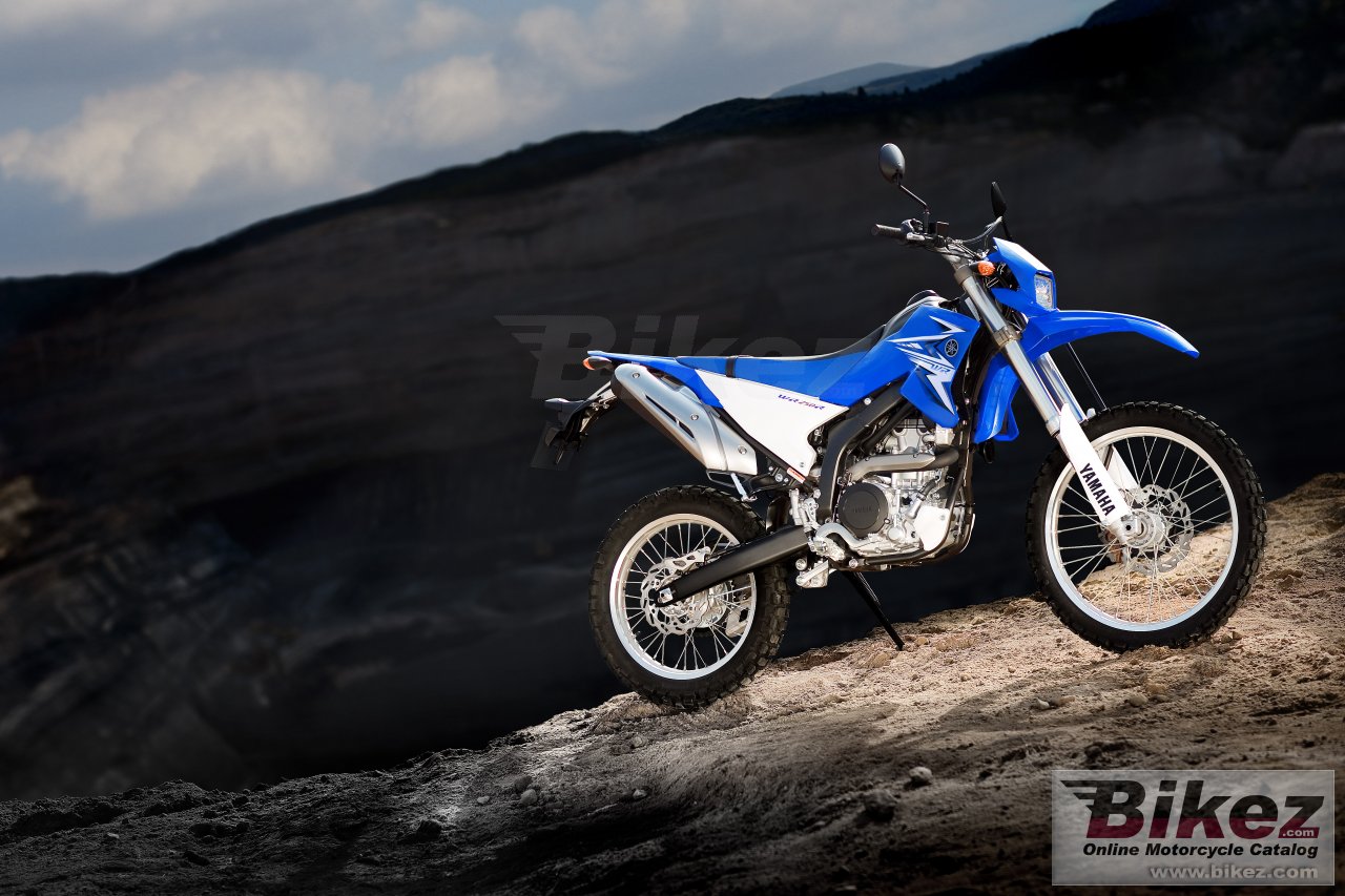 Thumbnail for Yamaha WR250R 2009