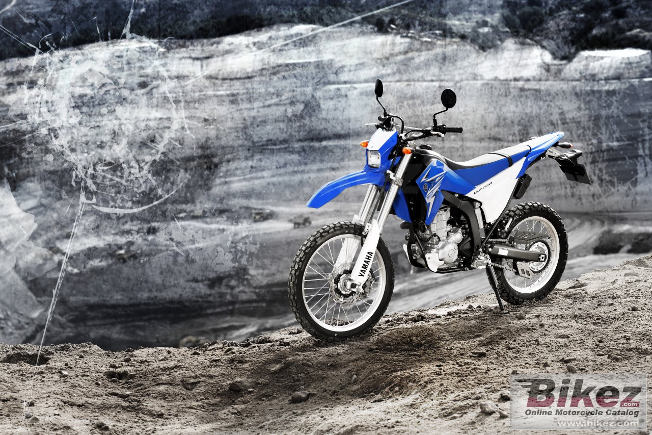 Thumbnail for Yamaha WR250R 2009