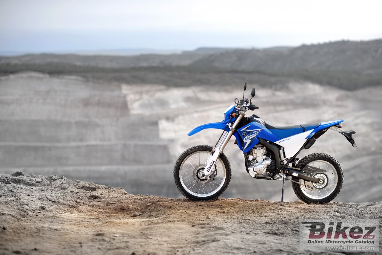 Thumbnail for Yamaha WR250R 2009