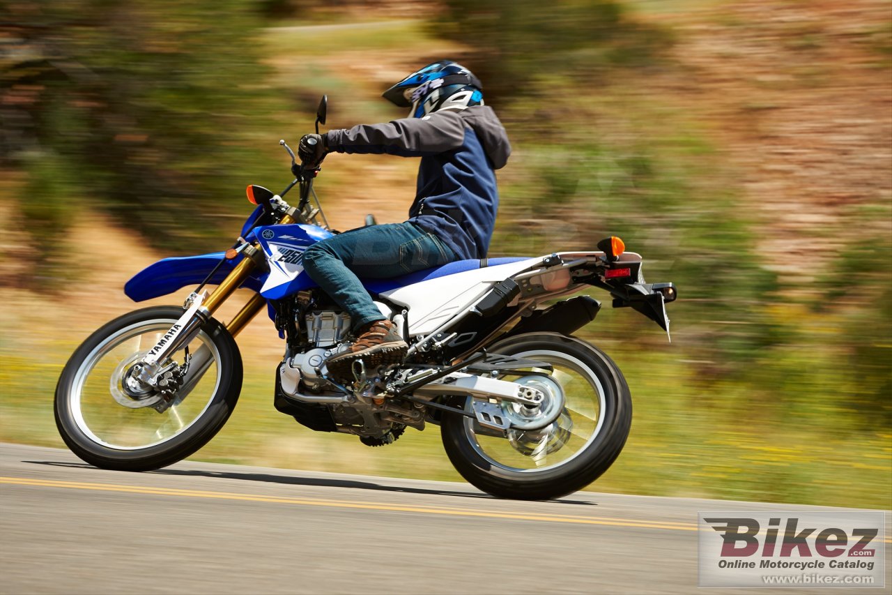 Thumbnail for Yamaha WR250R 2014