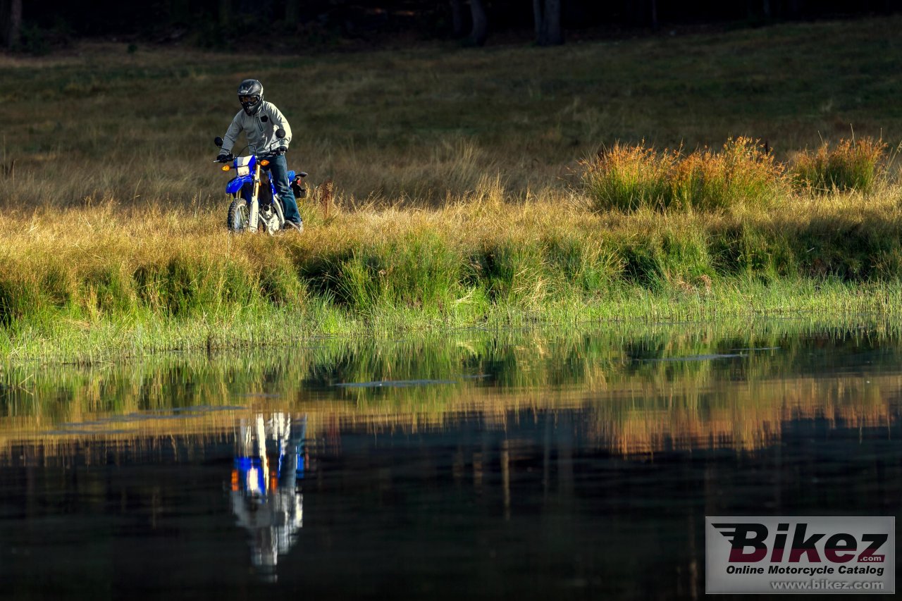 Thumbnail for Yamaha WR250R 2018