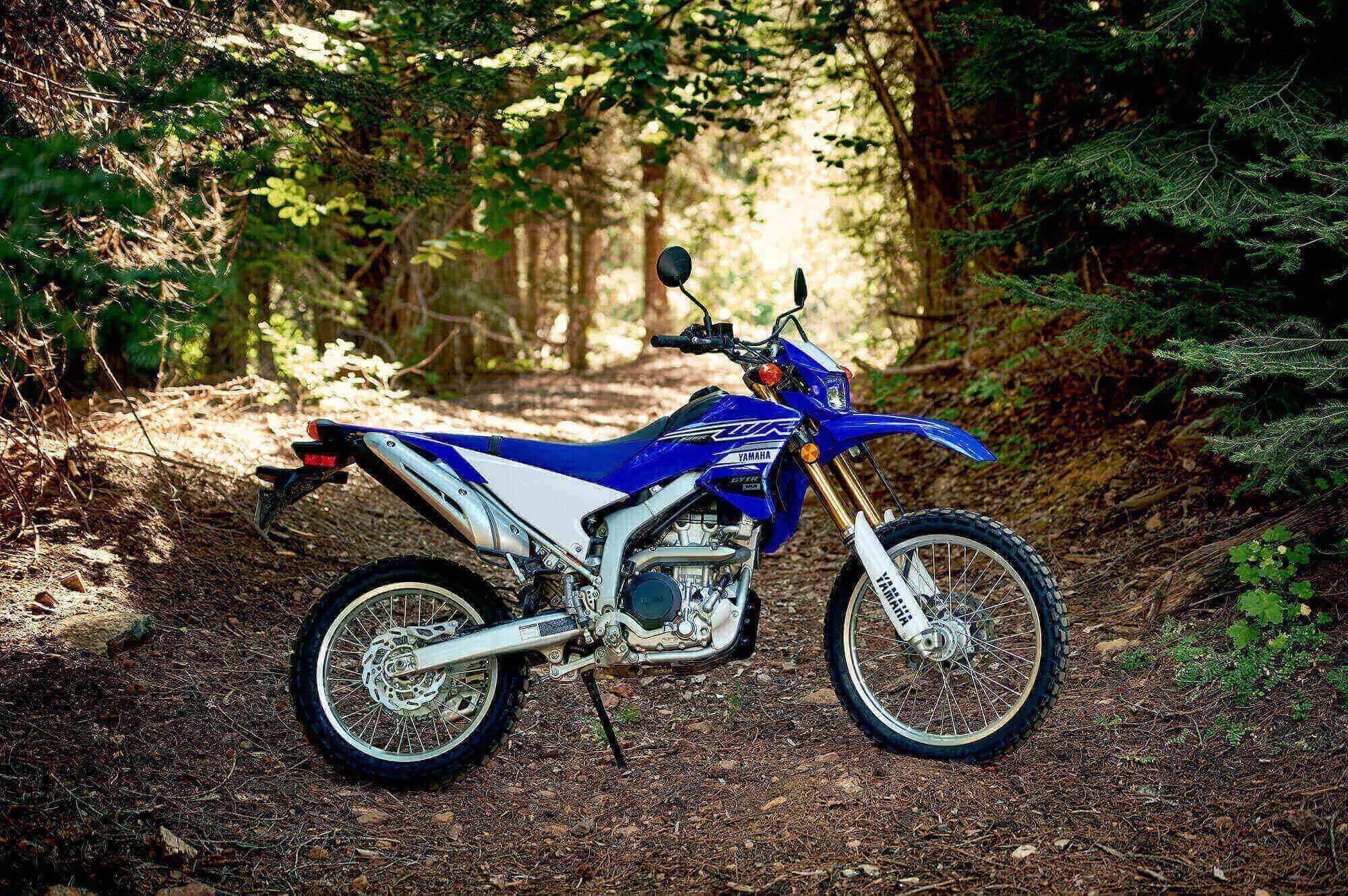 Thumbnail for Yamaha WR250R 2019