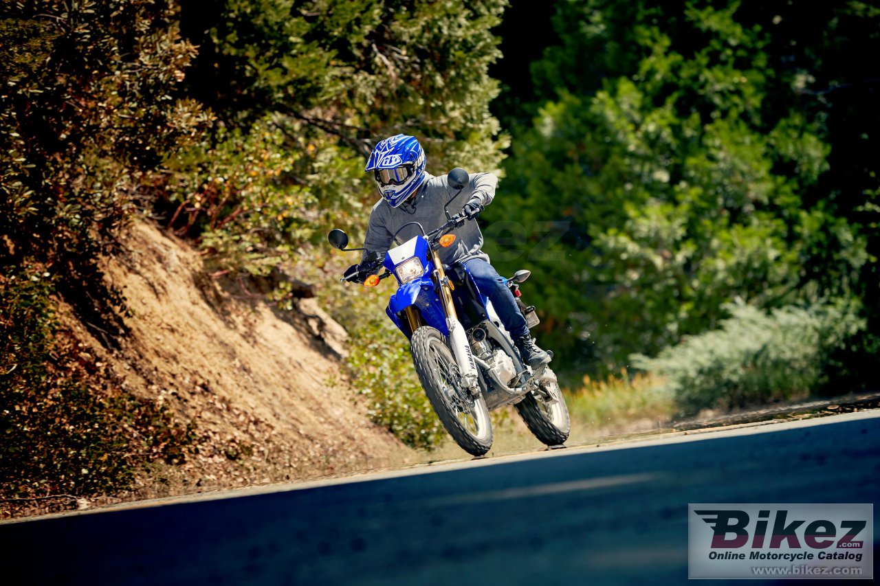 Thumbnail for Yamaha WR250R 2021