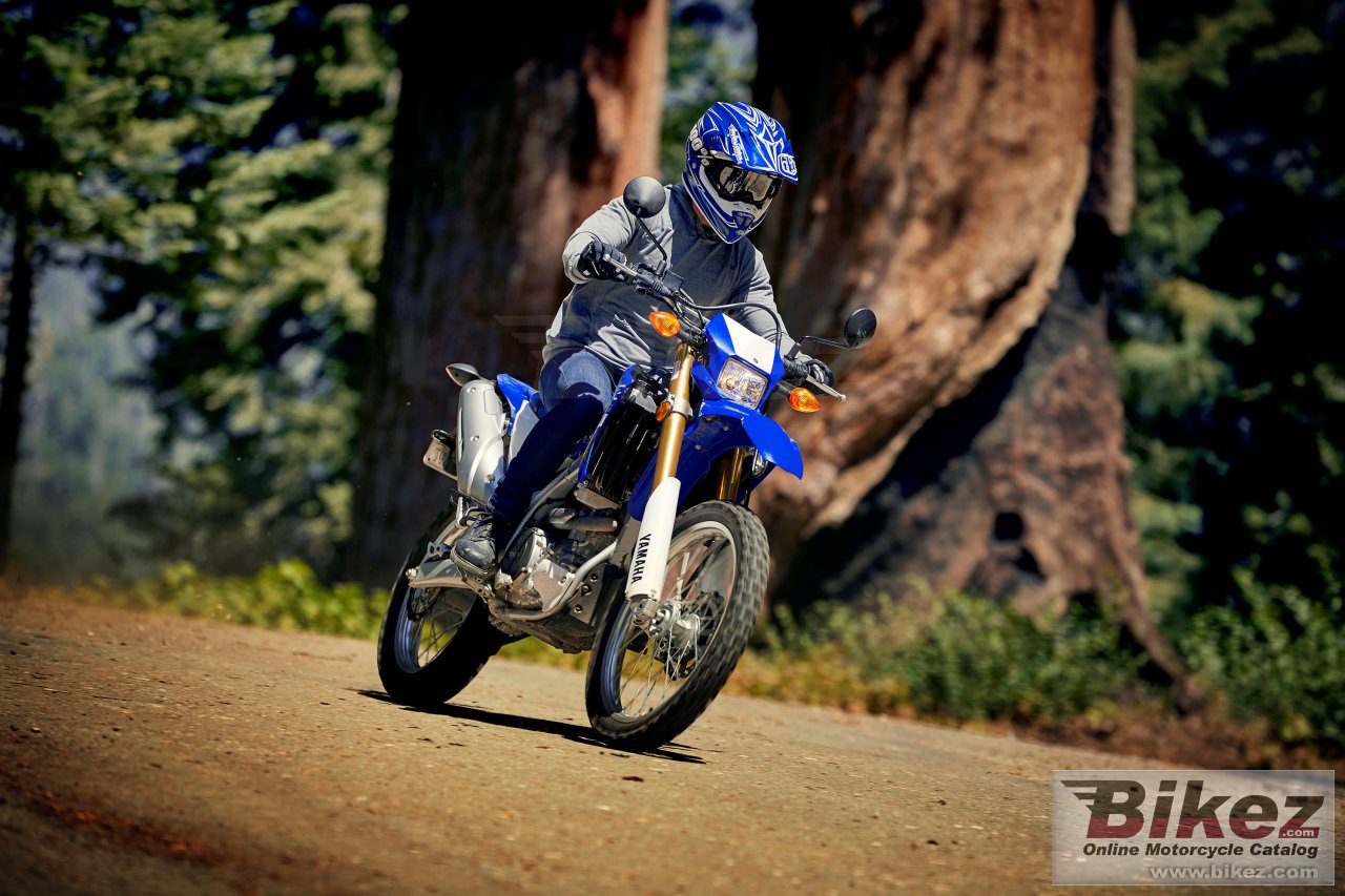 Thumbnail for Yamaha WR250R 2021