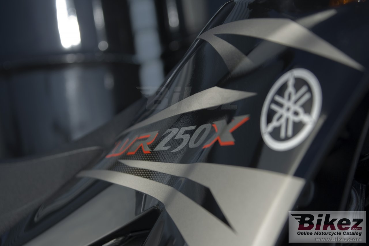 Thumbnail for Yamaha WR250X 2008
