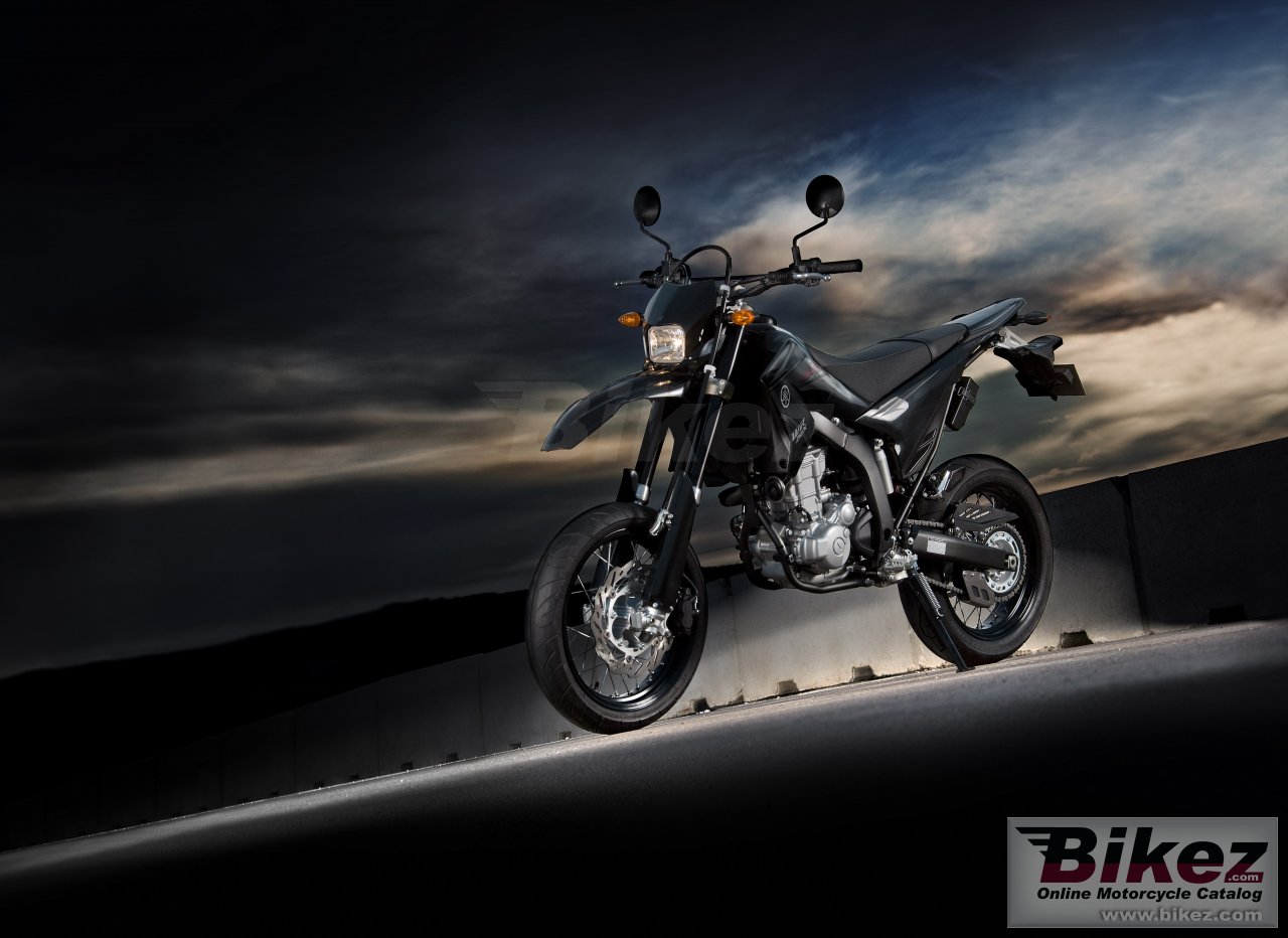 Thumbnail for Yamaha WR250X 2009
