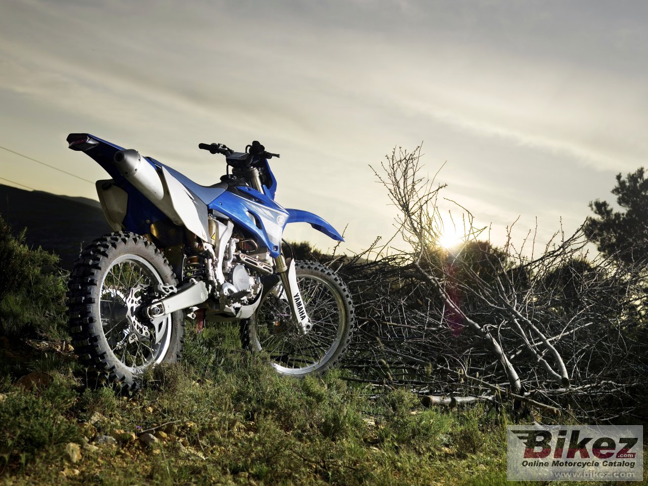 Thumbnail for Yamaha WR450F 2008