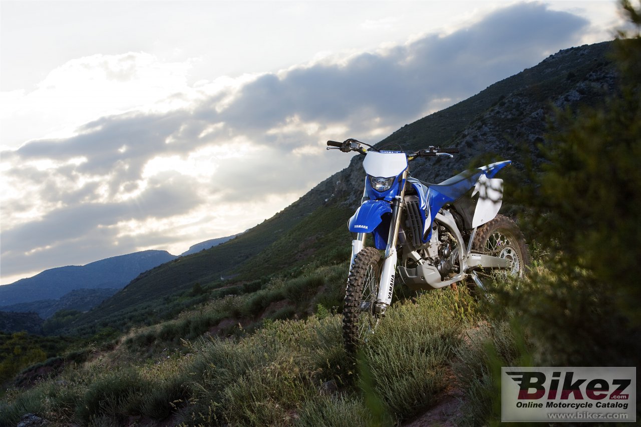 Thumbnail for Yamaha WR450F 2008
