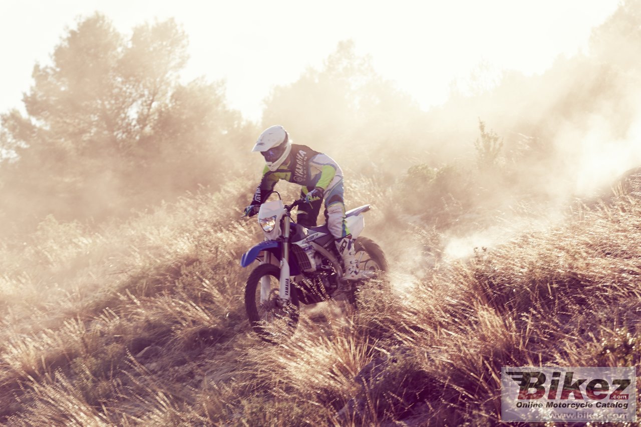 Thumbnail for Yamaha WR450F 2016