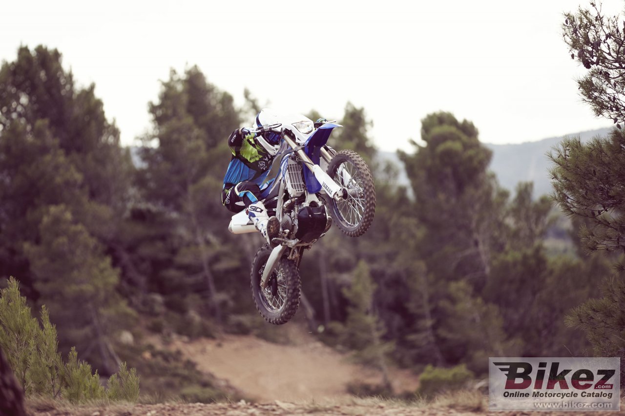 Thumbnail for Yamaha WR450F 2017